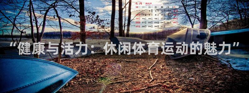 v66体育平台：“健康与活力：休闲体育运动的魅力”