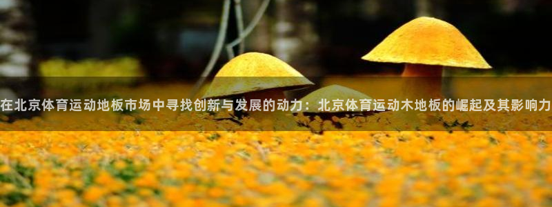 v66体育官网入口：在北京体育运动地板市场中寻找创新与发展的动力：北京体育运动木地板的崛起及其影响力