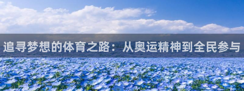 v66体育是什么：追寻梦想的体育之路：从奥运精神到全民参与