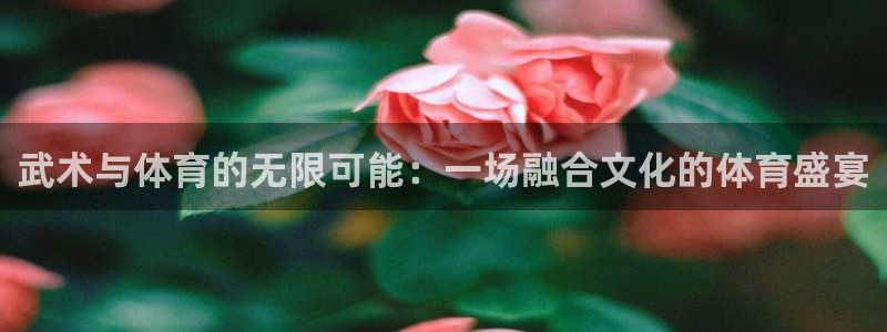 v66体育平台：武术与体育的无限可能：一场融合文化的体育盛宴