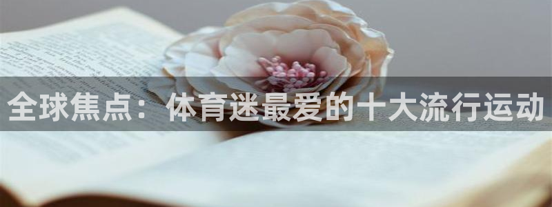 v66体育：全球焦点：体育迷最爱的十大流行运动