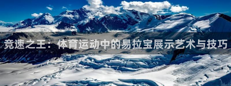 v66体育：竞速之王：体育运动中的易拉宝展示艺术与技巧