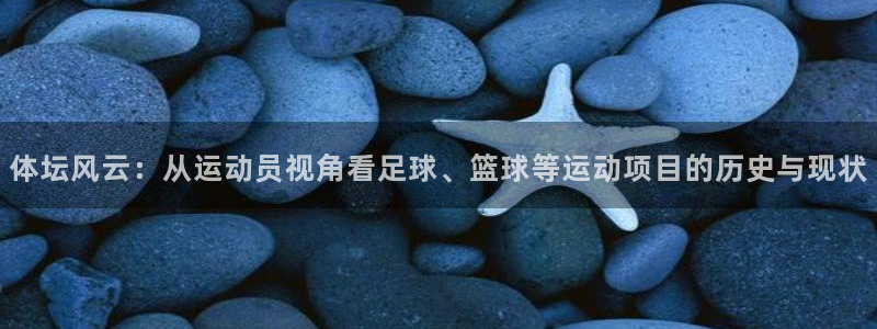 v66体育官网入口：体坛风云：从运动员视角看足球、篮球等运动项目的历史与现状