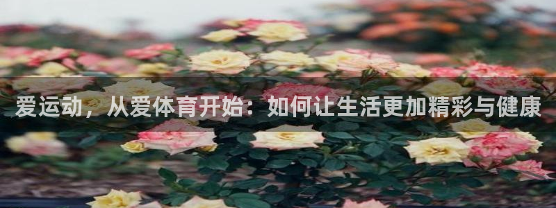 v66体育：爱运动，从爱体育开始：如何让生活更加精彩与健康