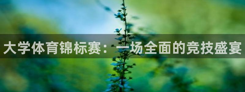 v66体育：大学体育锦标赛：一场全面的竞技盛宴